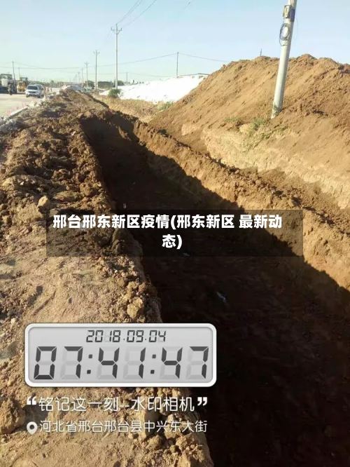 邢台邢东新区疫情(邢东新区 最新动态)-第3张图片