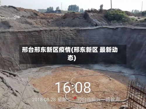 邢台邢东新区疫情(邢东新区 最新动态)-第2张图片