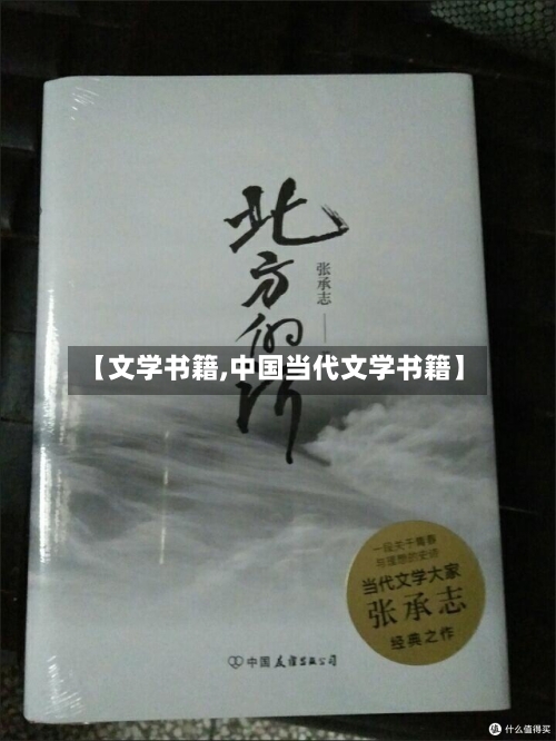 【文学书籍,中国当代文学书籍】-第3张图片