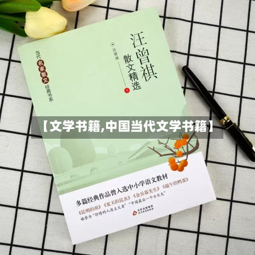 【文学书籍,中国当代文学书籍】-第2张图片