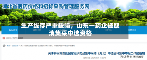生产线存严重缺陷，山东一药企被取消集采中选资格-第3张图片
