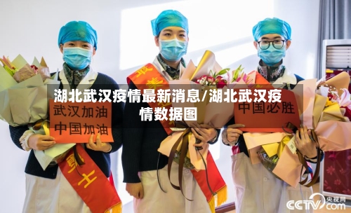 湖北武汉疫情最新消息/湖北武汉疫情数据图