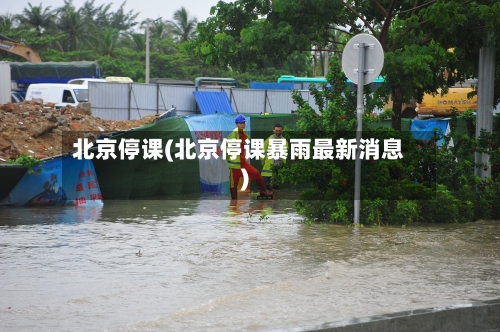 北京停课(北京停课暴雨最新消息)