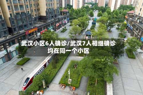 武汉小区6人确诊/武汉7人相继确诊均在同一个小区
