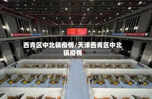 西青区中北镇疫情/天津西青区中北镇疫情-第2张图片