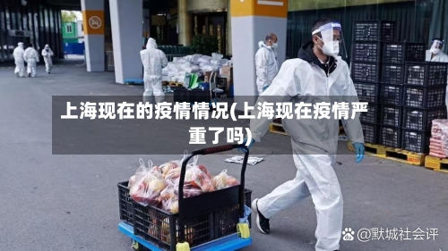上海现在的疫情情况(上海现在疫情严重了吗)-第2张图片