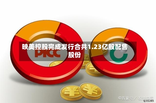 映美控股完成发行合共1.23亿股配售股份-第2张图片