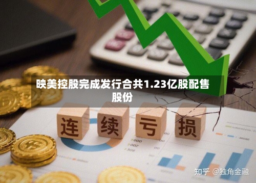 映美控股完成发行合共1.23亿股配售股份