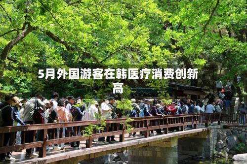 5月外国游客在韩医疗消费创新高