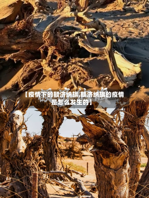 【疫情下的额济纳旗,额济纳旗的疫情是怎么发生的】