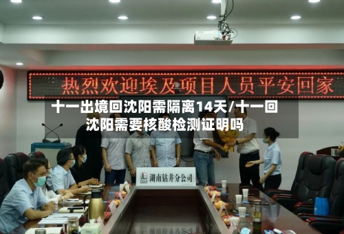 十一出境回沈阳需隔离14天/十一回沈阳需要核酸检测证明吗-第3张图片