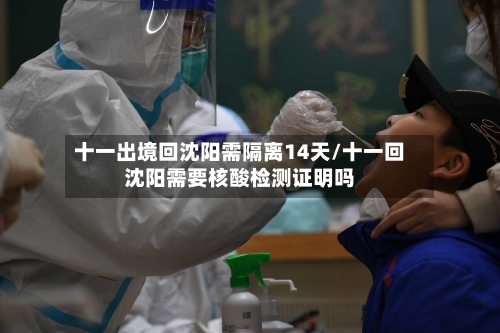 十一出境回沈阳需隔离14天/十一回沈阳需要核酸检测证明吗-第2张图片