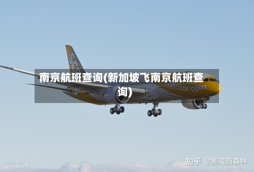 南京航班查询(新加坡飞南京航班查询)