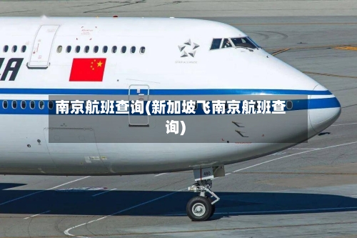南京航班查询(新加坡飞南京航班查询)-第2张图片