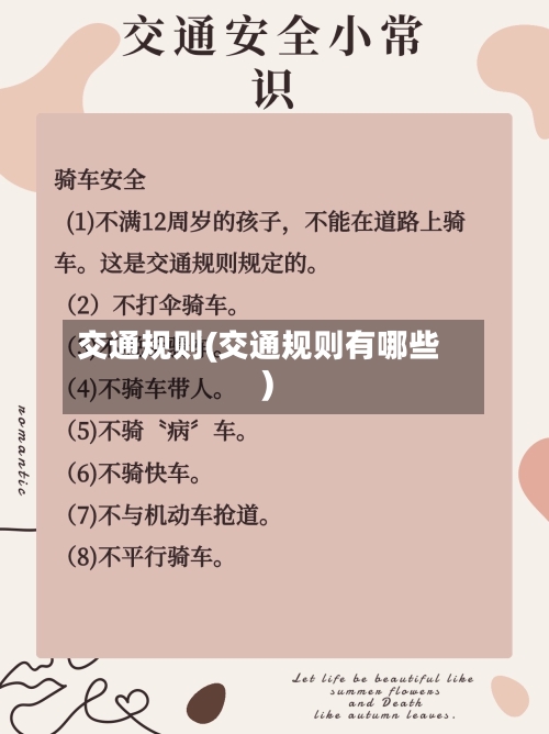 交通规则(交通规则有哪些)