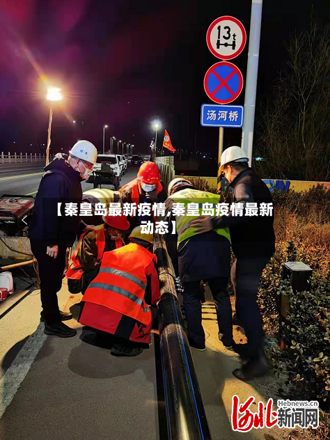 【秦皇岛最新疫情,秦皇岛疫情最新动态】-第2张图片