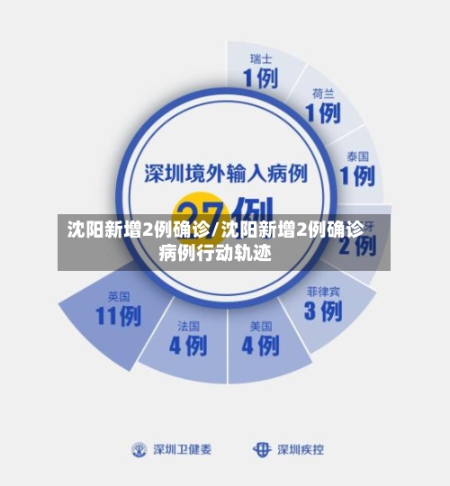 沈阳新增2例确诊/沈阳新增2例确诊病例行动轨迹-第2张图片
