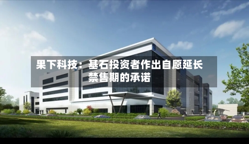 果下科技:基石投资者作出自愿延长禁售期的承诺-第3张图片