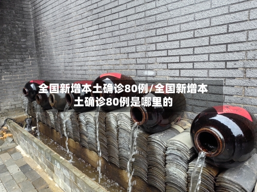 全国新增本土确诊80例/全国新增本土确诊80例是哪里的-第3张图片