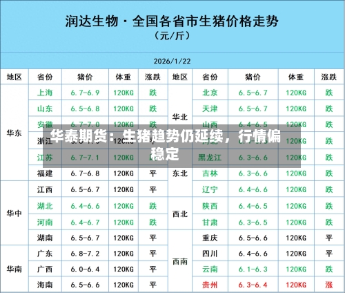 华泰期货：生猪趋势仍延续，行情偏稳定-第3张图片