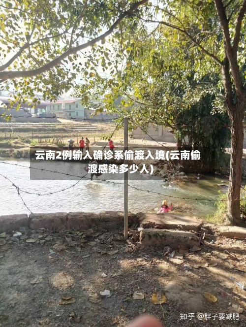 云南2例输入确诊系偷渡入境(云南偷渡感染多少人)