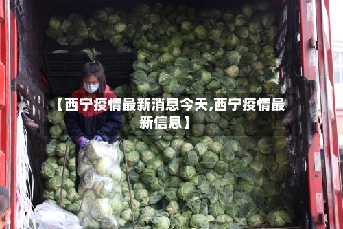 【西宁疫情最新消息今天,西宁疫情最新信息】-第2张图片