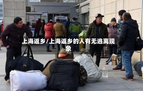 上海返乡/上海返乡的人有无逃离现象-第2张图片