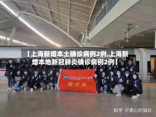 【上海新增本土确诊病例2例,上海新增本地新冠肺炎确诊病例2例】-第3张图片