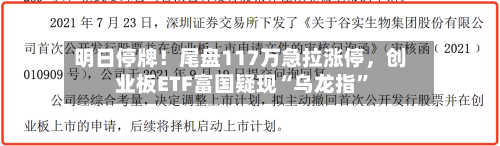 明日停牌！尾盘117万急拉涨停，创业板ETF富国疑现“乌龙指”-第2张图片
