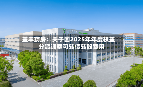 益丰药房：关于因2025年年度权益分派调整可转债转股费用