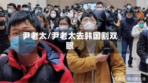 尹老太/尹老太去韩国割双眼-第2张图片