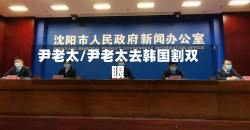 尹老太/尹老太去韩国割双眼-第3张图片