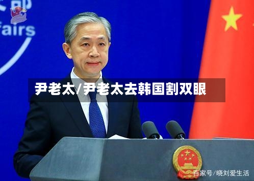 尹老太/尹老太去韩国割双眼