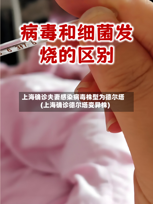 上海确诊夫妻感染病毒株型为德尔塔(上海确诊德尔塔变异株)-第2张图片