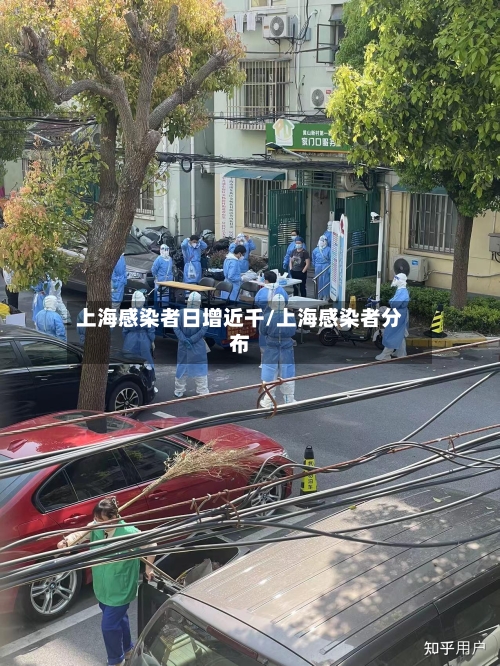 上海感染者日增近千/上海感染者分布-第2张图片