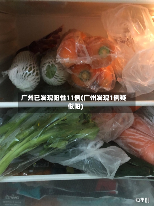 广州已发现阳性11例(广州发现1例疑似阳)-第2张图片