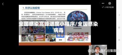 全国感染高峰进度小程序/全国感染病毒-第2张图片