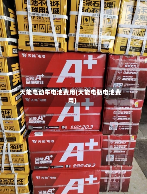 天能电动车电池费用(天能电瓶电池费用)