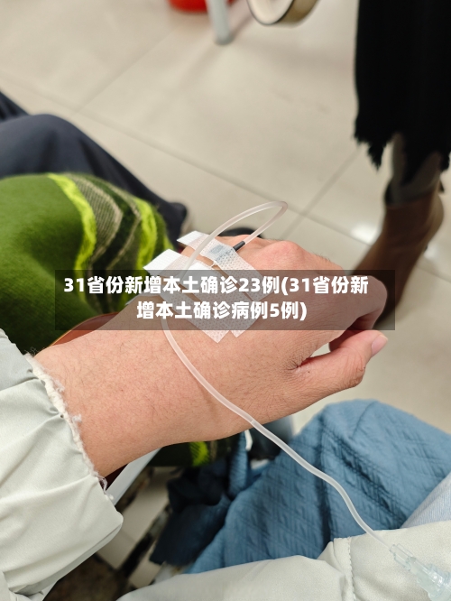31省份新增本土确诊23例(31省份新增本土确诊病例5例)-第2张图片
