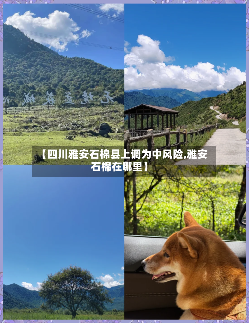 【四川雅安石棉县上调为中风险,雅安石棉在哪里】