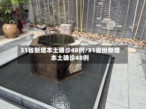 31省新增本土确诊48例/31省份新增本土确诊48例