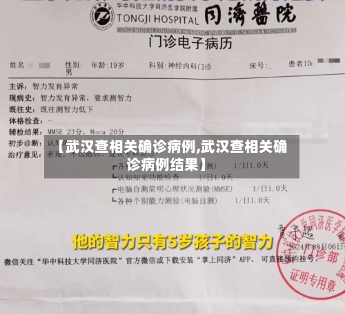 【武汉查相关确诊病例,武汉查相关确诊病例结果】-第2张图片