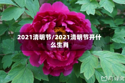 2021清明节/2021清明节开什么生肖