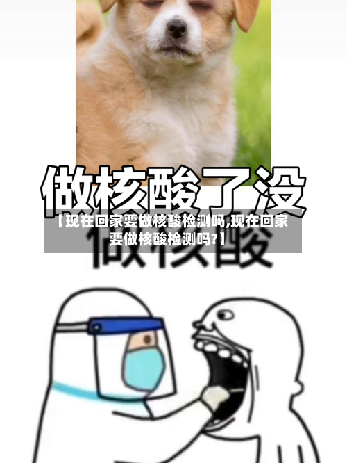 【现在回家要做核酸检测吗,现在回家要做核酸检测吗?】