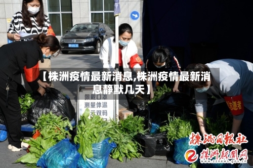 【株洲疫情最新消息,株洲疫情最新消息静默几天】
