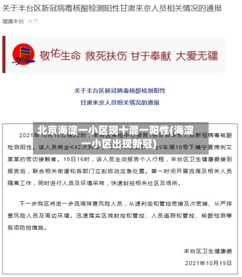 北京海淀一小区现十混一阳性(海淀一小区出现新冠)