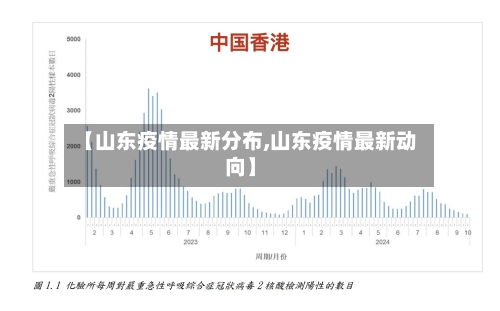 【山东疫情最新分布,山东疫情最新动向】-第2张图片