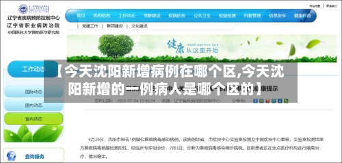【今天沈阳新增病例在哪个区,今天沈阳新增的一例病人是哪个区的】-第3张图片