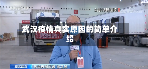 武汉疫情真实原因的简单介绍