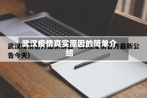 武汉疫情真实原因的简单介绍-第3张图片